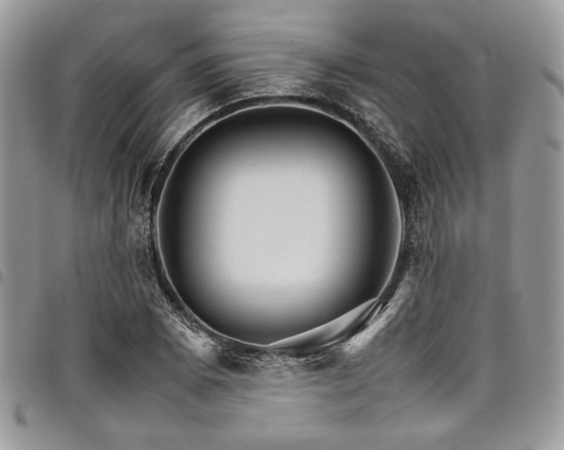 X0000098041073200803281426