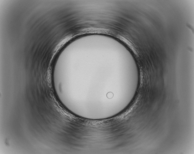 X0000098041074200803281426