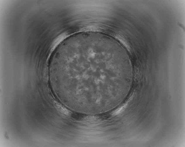 X0000098041075200803281426