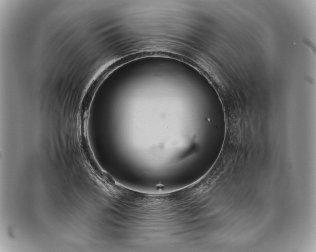 X0000098041076200803281426