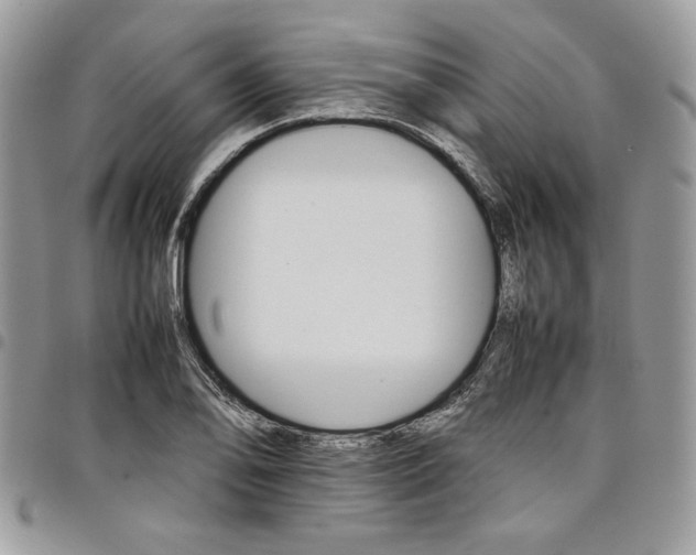 X0000098041078200803281426