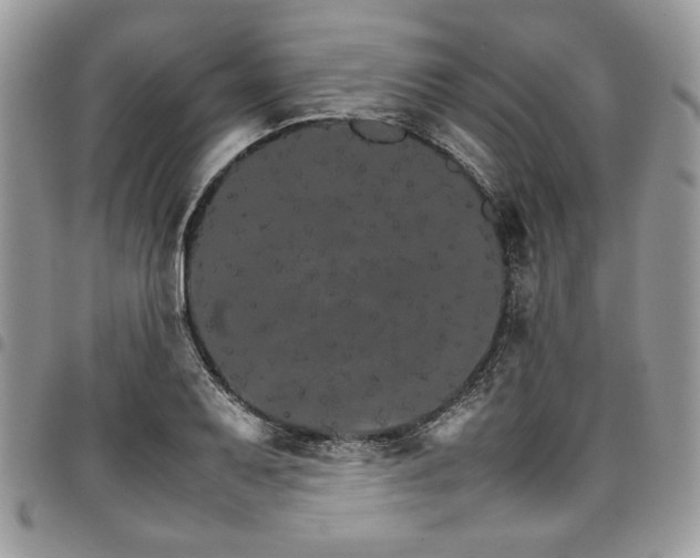 X0000098041079200803281426