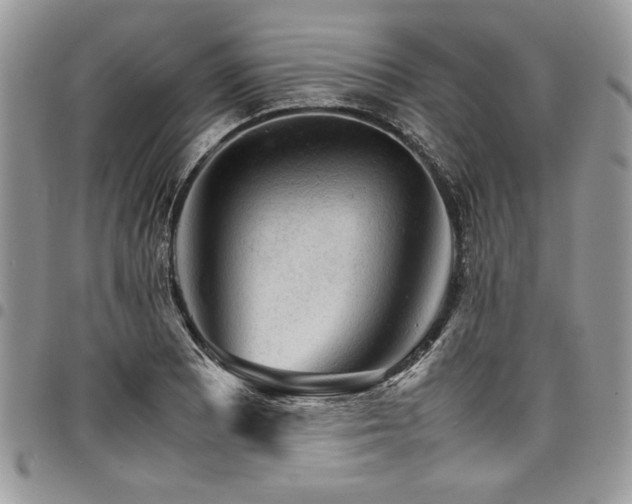 X0000098041081200803281426