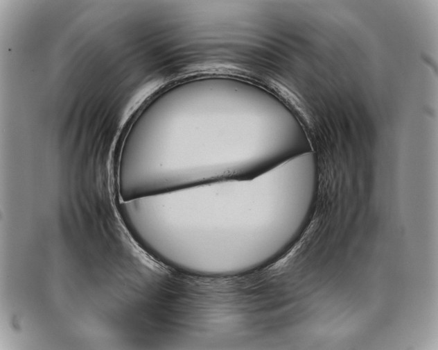 X0000098041082200803281426