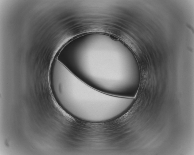 X0000098041084200803281426