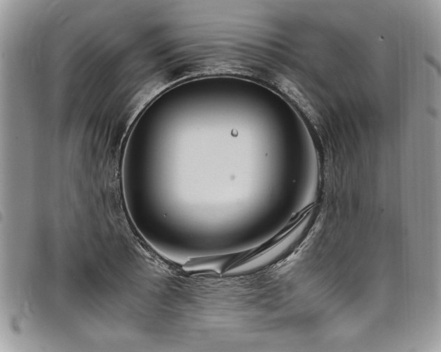 X0000098041089200803281426