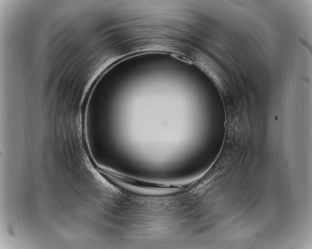 X0000098041092200803281426