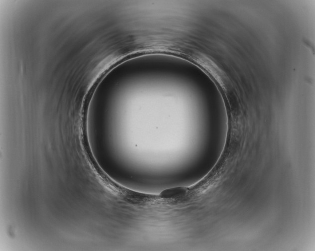 X0000098041093200803281426