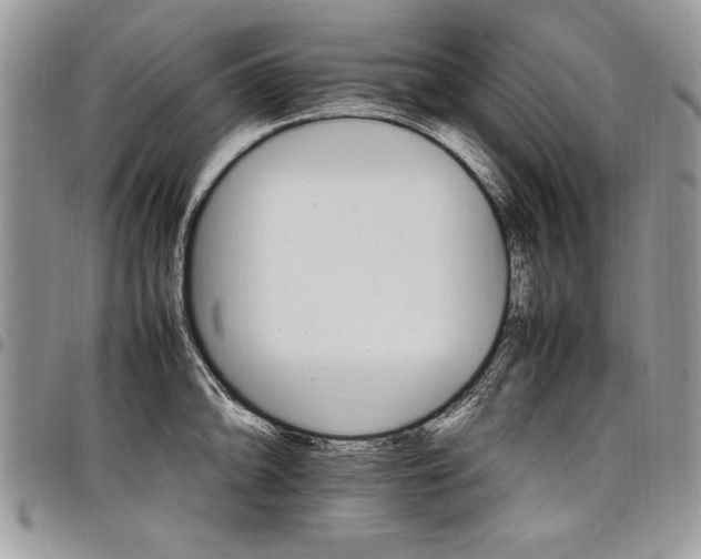 X0000098041094200803281426