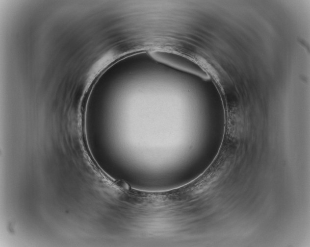 X0000098041096200803281426