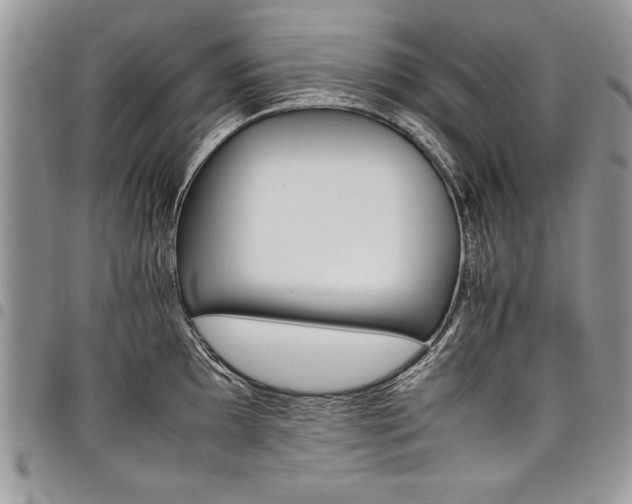 X0000098041097200803281426