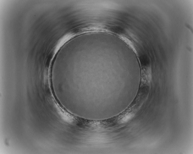 X0000098041098200803281426