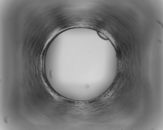 X0000098041099200803281426