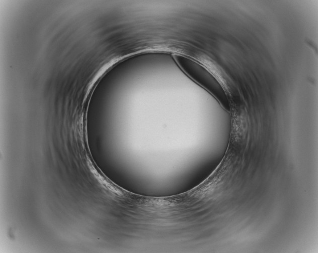 X0000098041100200803281426