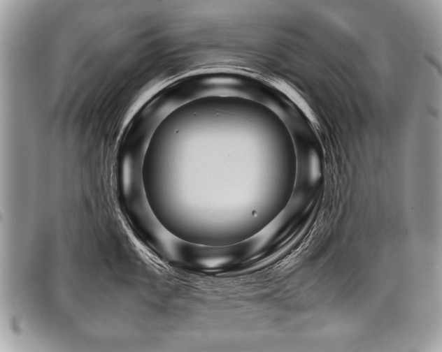 X0000098041101200803281426