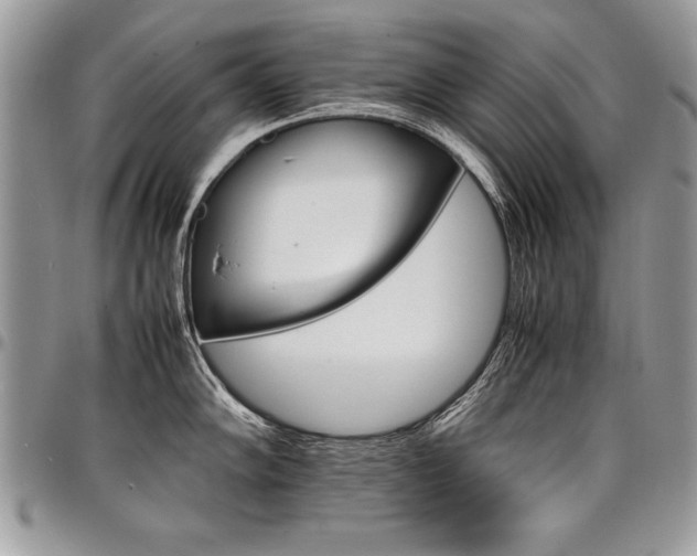 X0000098041102200803281426