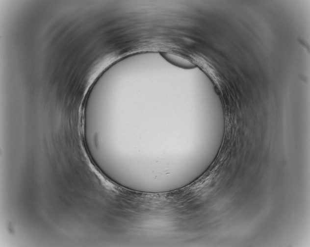 X0000098041103200803281426