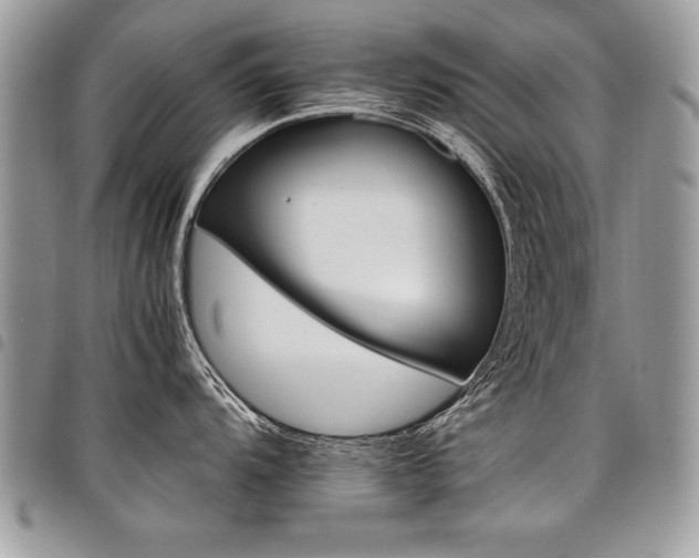 X0000098041104200803281426