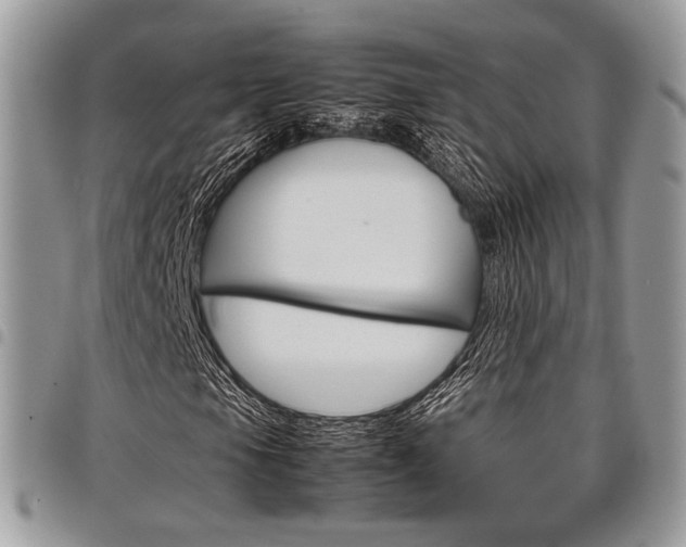 X0000098041105200803281425