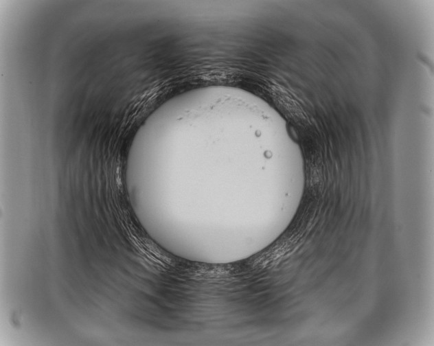 X0000098041106200803281425