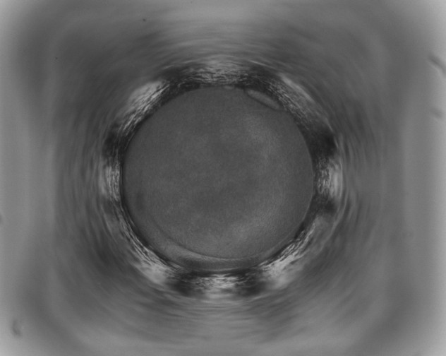 X0000098041108200803281425