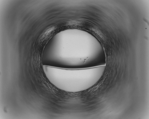 X0000098041111200803281425