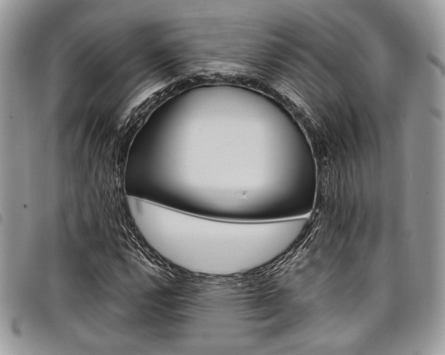 X0000098041112200803281425