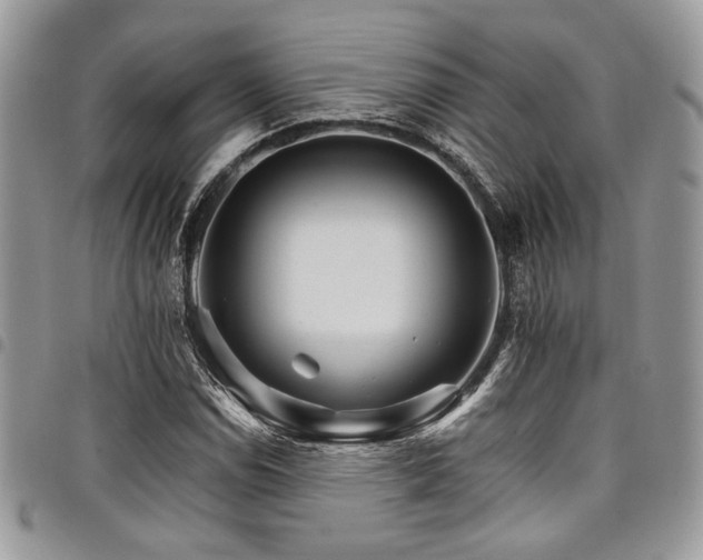 X0000098041114200803281425