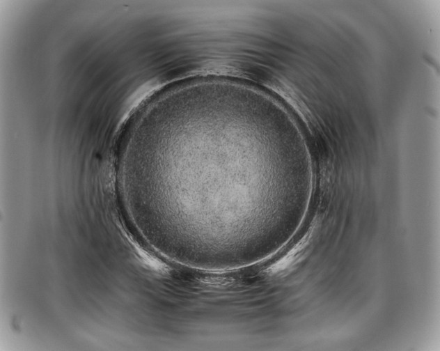 X0000098041115200803281425