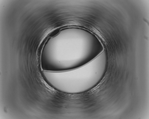 X0000098041116200803281425