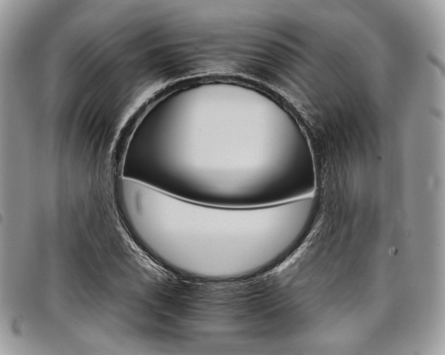 X0000098041118200803281425
