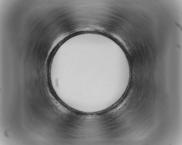 X0000098041122200803281425
