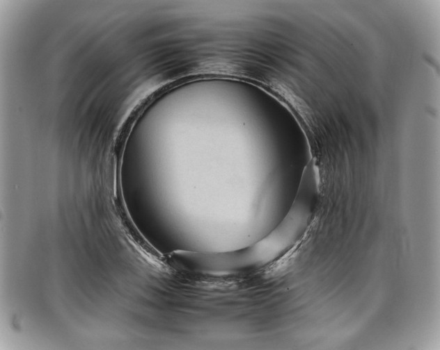 X0000098041123200803281425