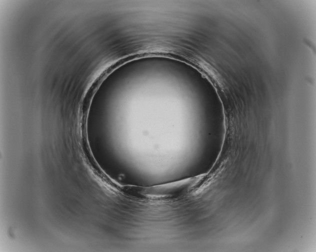 X0000098041124200803281425
