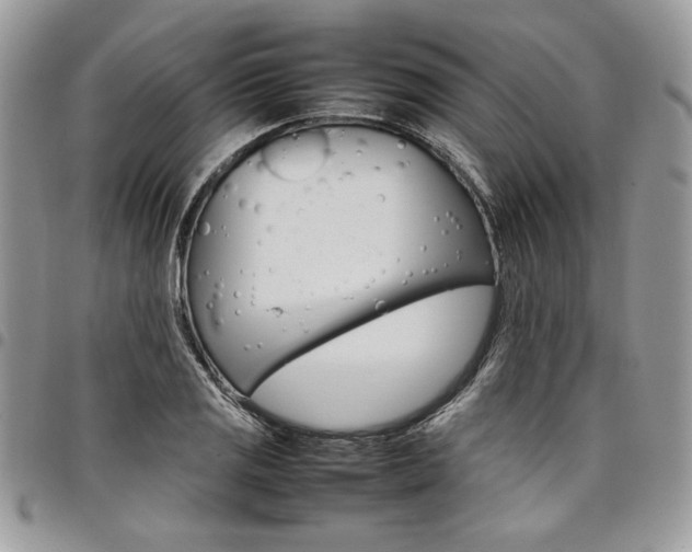 X0000098041125200803281425