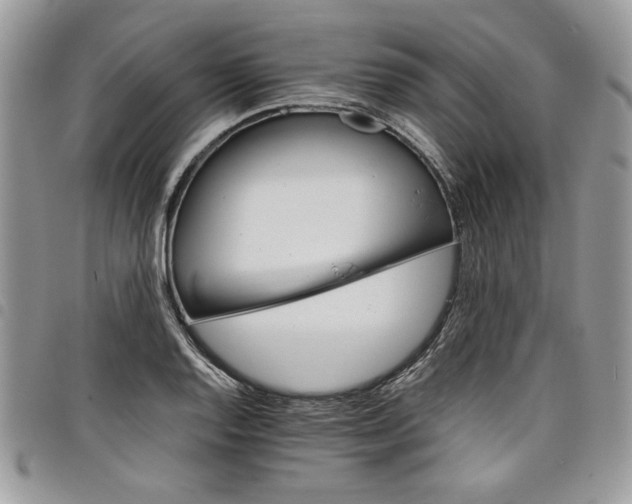 X0000098041128200803281425