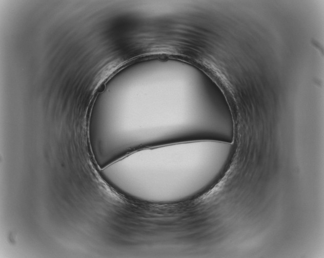 X0000098041129200803281425