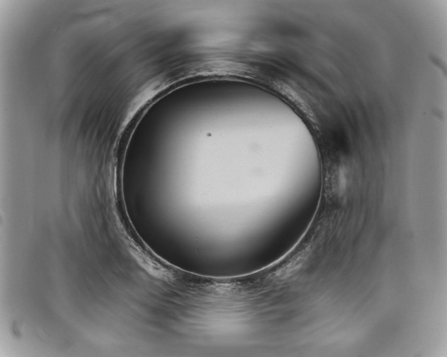 X0000098041130200803281425