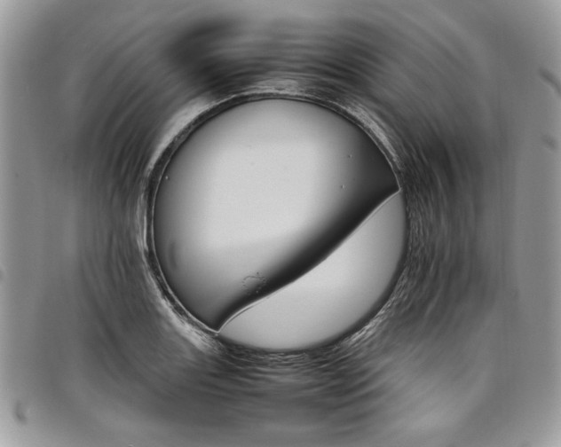 X0000098041131200803281425