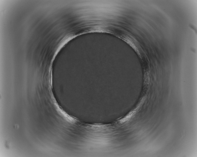 X0000098041132200803281426