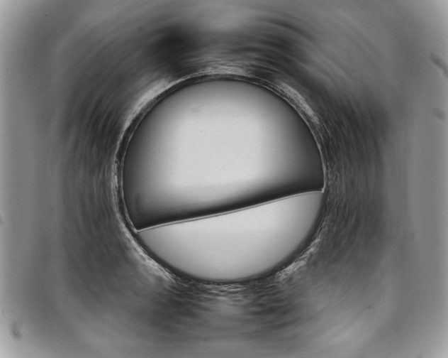 X0000098041133200803281426