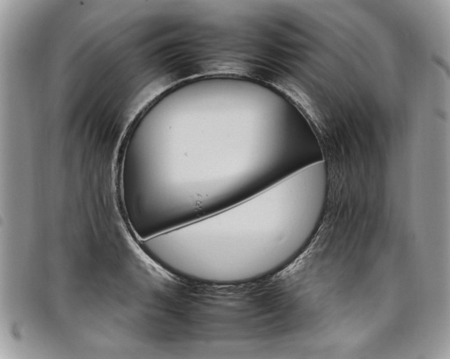 X0000098041135200803281426