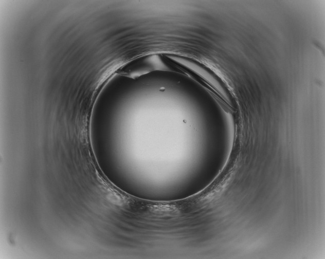 X0000098041137200803281426