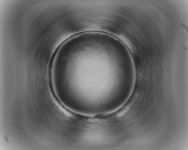 X0000098041142200803281426