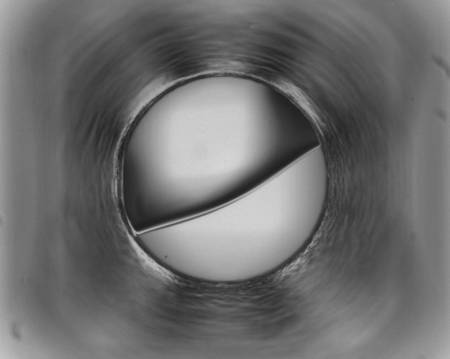 X0000098041143200803281426