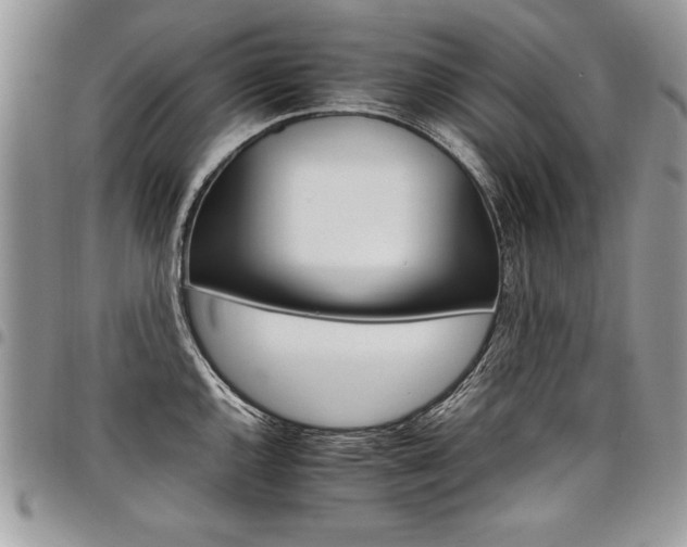 X0000098041144200803281426