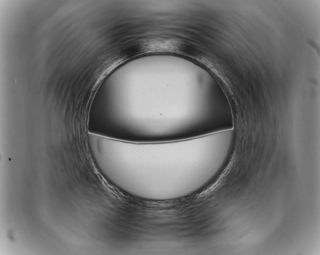 X0000098041145200803281426