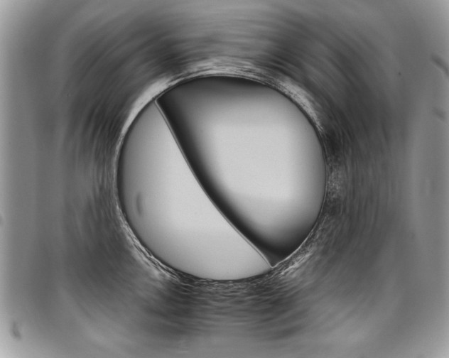 X0000098041146200803281426