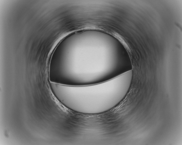 X0000098041148200803281426