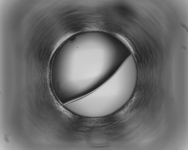 X0000098041149200803281426